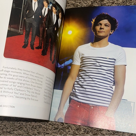 One Direction Book - Picture 4 of 6